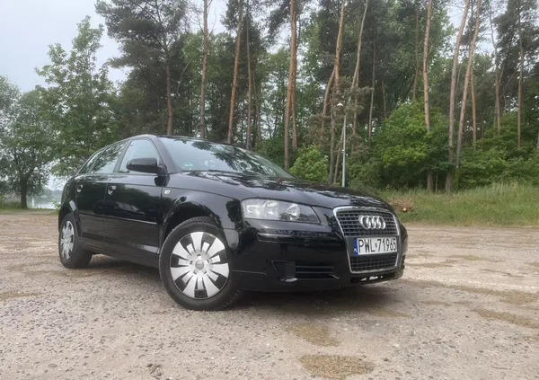 audi Audi A3 cena 16000 przebieg: 207000, rok produkcji 2005 z Hajnówka